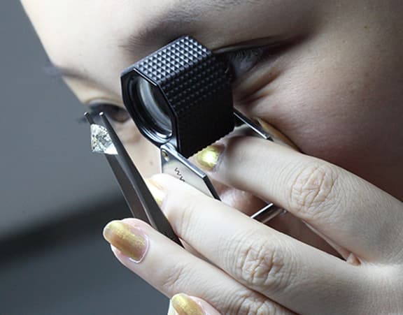 A Legacy of Expertise